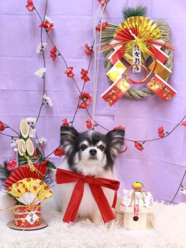 20230125ミルクくん